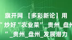 旗开网 【多彩新论】用“工业锅”炒好“农业菜”_贵州_盘州_发展潜力