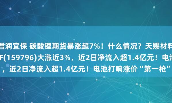 君润宜保 碳酸锂期货暴涨超7%！什么情况？天赐材料涨超7%，电池50ETF(159796)大涨近3%，近2日净流入超1.4亿元！电池打响涨价“第一枪”
